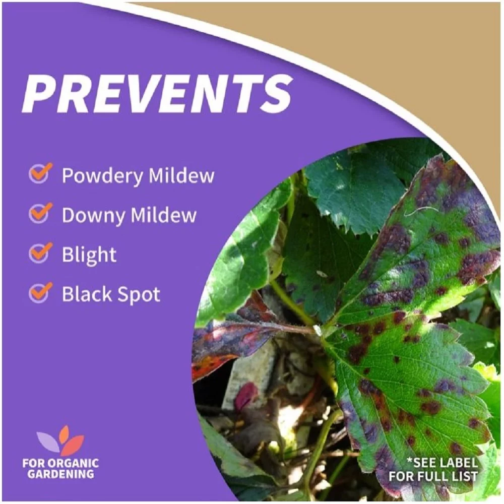 1PC Bonide 8116 Liquid Copper Pint Concentrate