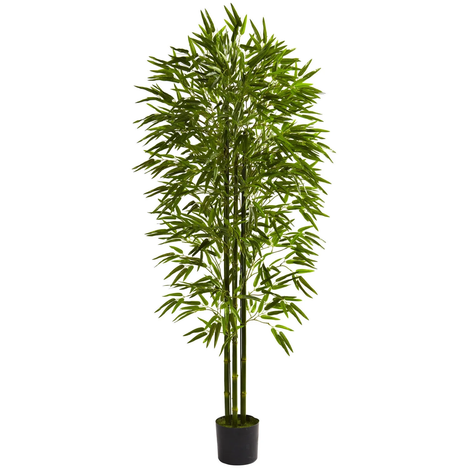 HomeStock Asian Aesthetics 6Ft. Bamboo Tree Uv Resistant (Indoor/Outdoor)