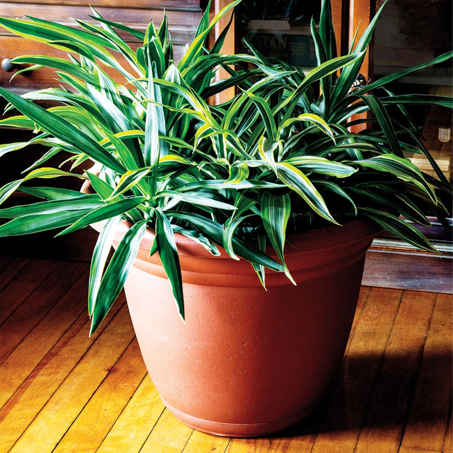 HC Companies Mojave 22 x 16.5 Inch Round Plastic Flower Planter Pot, Black