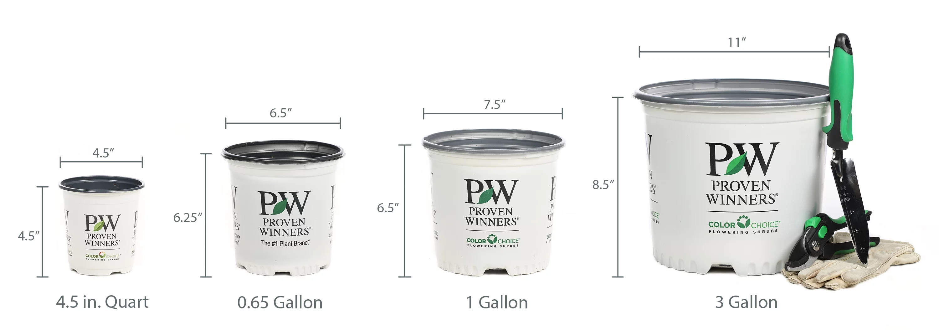 4-Pack, 4.25 in. Grande Supertunia Royal Velvet (Petunia) Live Plants, Purple Flowers