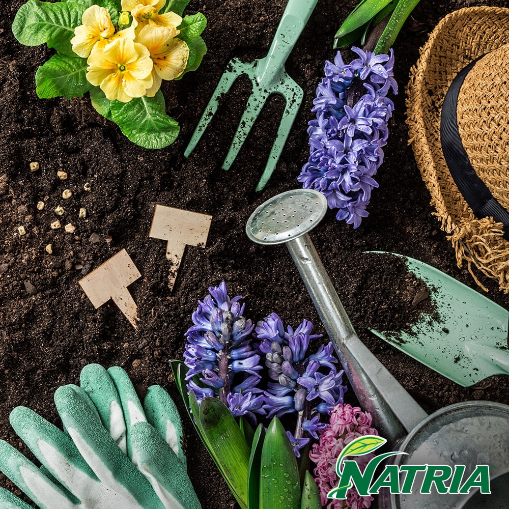 BioAdvanced 706220B Natria Insect, Disease & Mite Control, 24 Oz