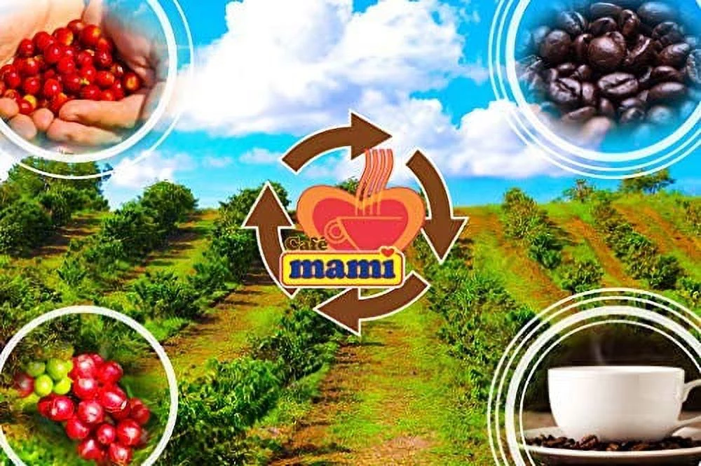 CAFE MAMI, 100% Puerto Rican Premium Ground Coffee, 42oz (3 units of 14oz) + Plus Sticker by Artist Jose Hoffman