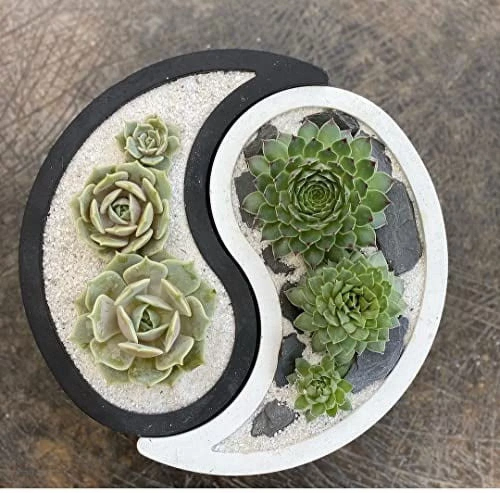 Coliseum Studio Yin Yang Planter Concrete Pot with Drainage - Handmade in USA 8