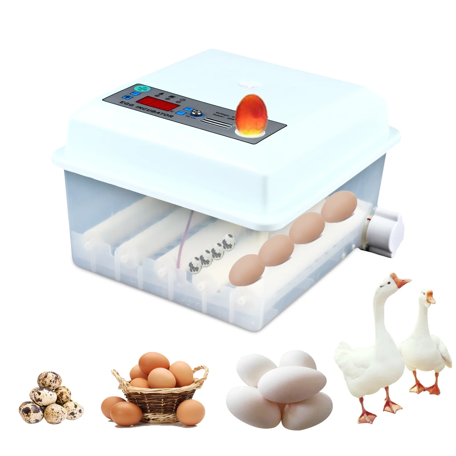 Eggs Incubator, Automatic Egg Turner, Temperature Humidity Control,  Poultry  Incubator for Hatching 16 Chicken Eggs