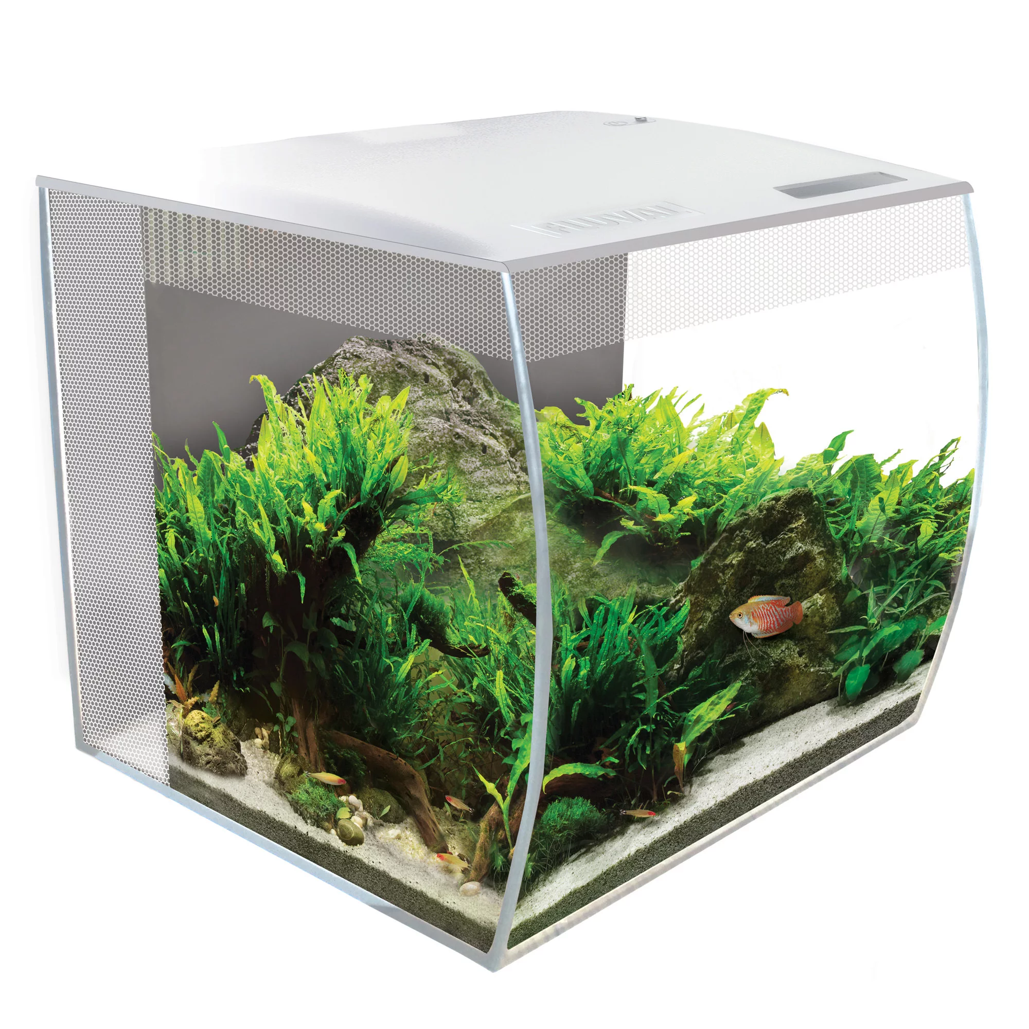 Fluval FLEX 9 Gallon Glass Aquarium Kit (White)