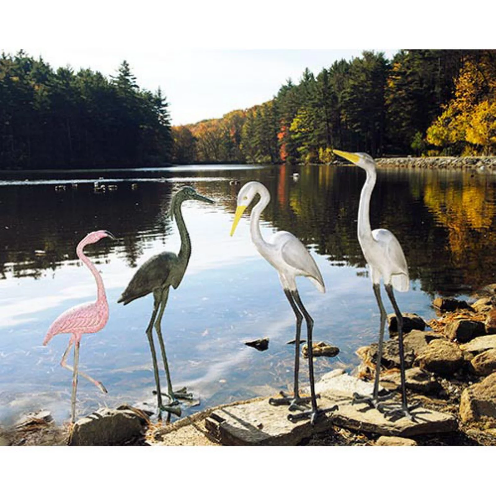 Minuteman International Achla Designs American Flamingo 36.75 in. Garden Statue