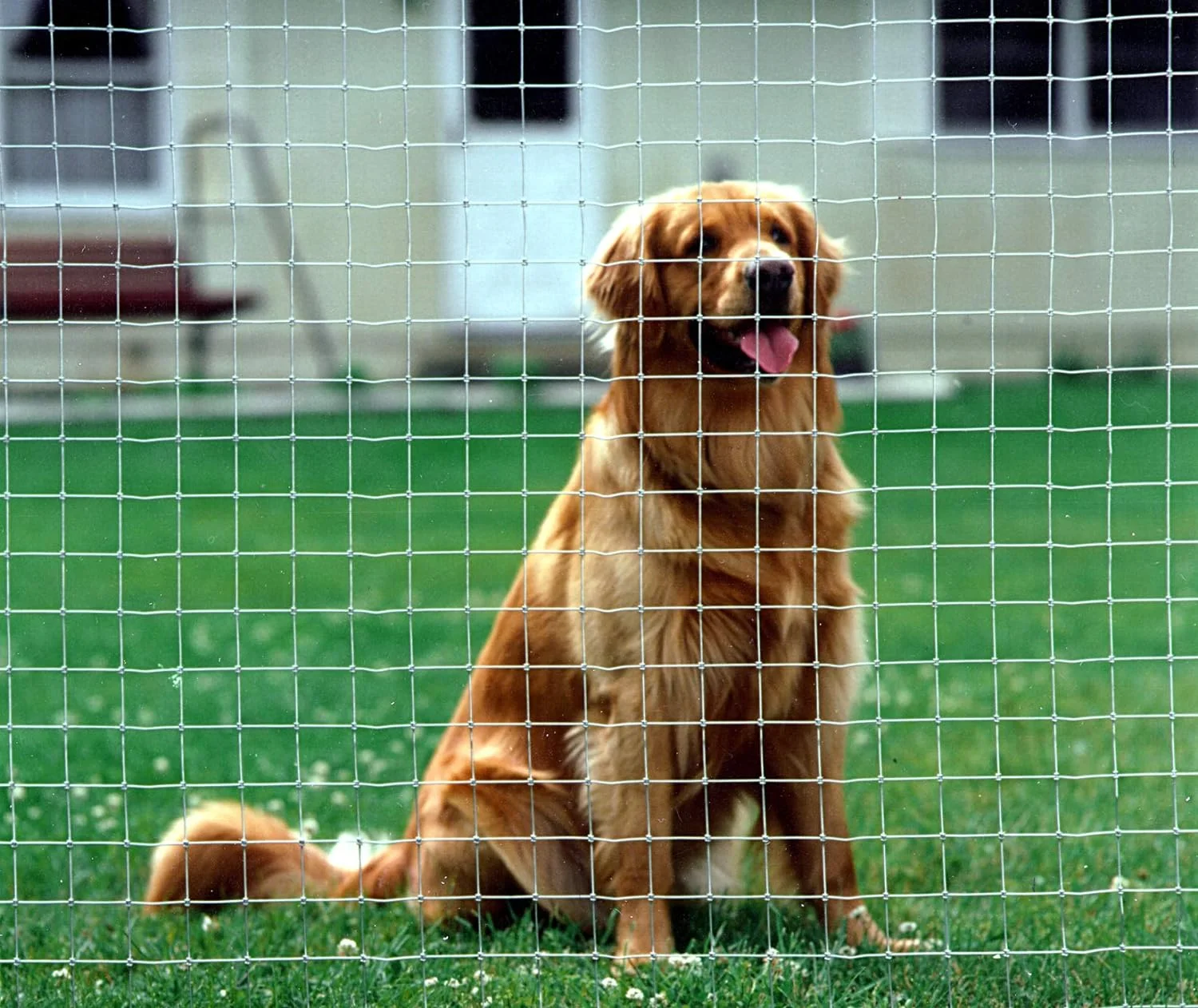 Keystone Steel & Wire 183227 48 in. x 100 ft. & 2 x 2 ft. Kennal Fence