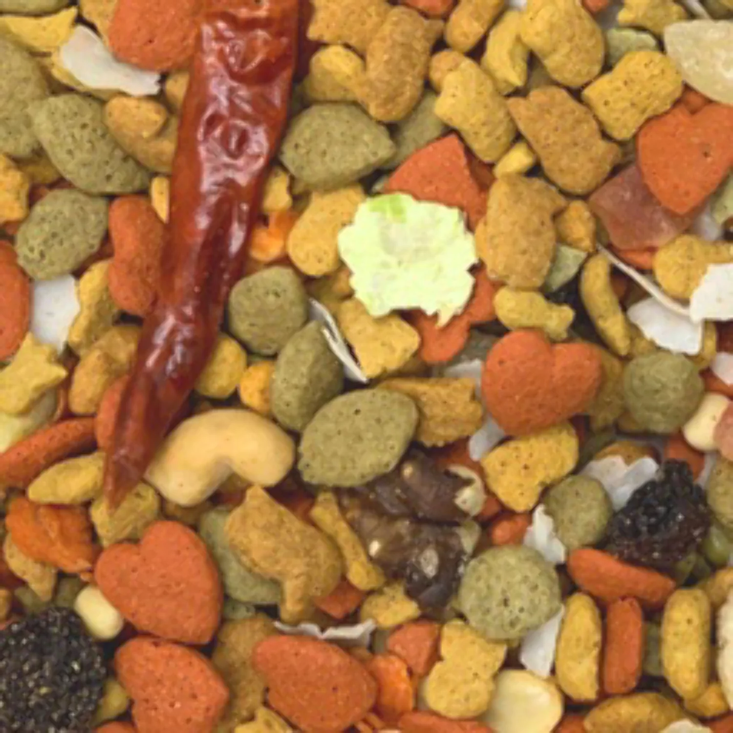 HIGGINS INTUNE HARMONY MACAW & COCKATOO (3 lb bag)