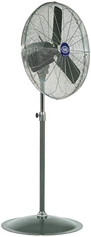 Oscillating Pedestal Fan, 30