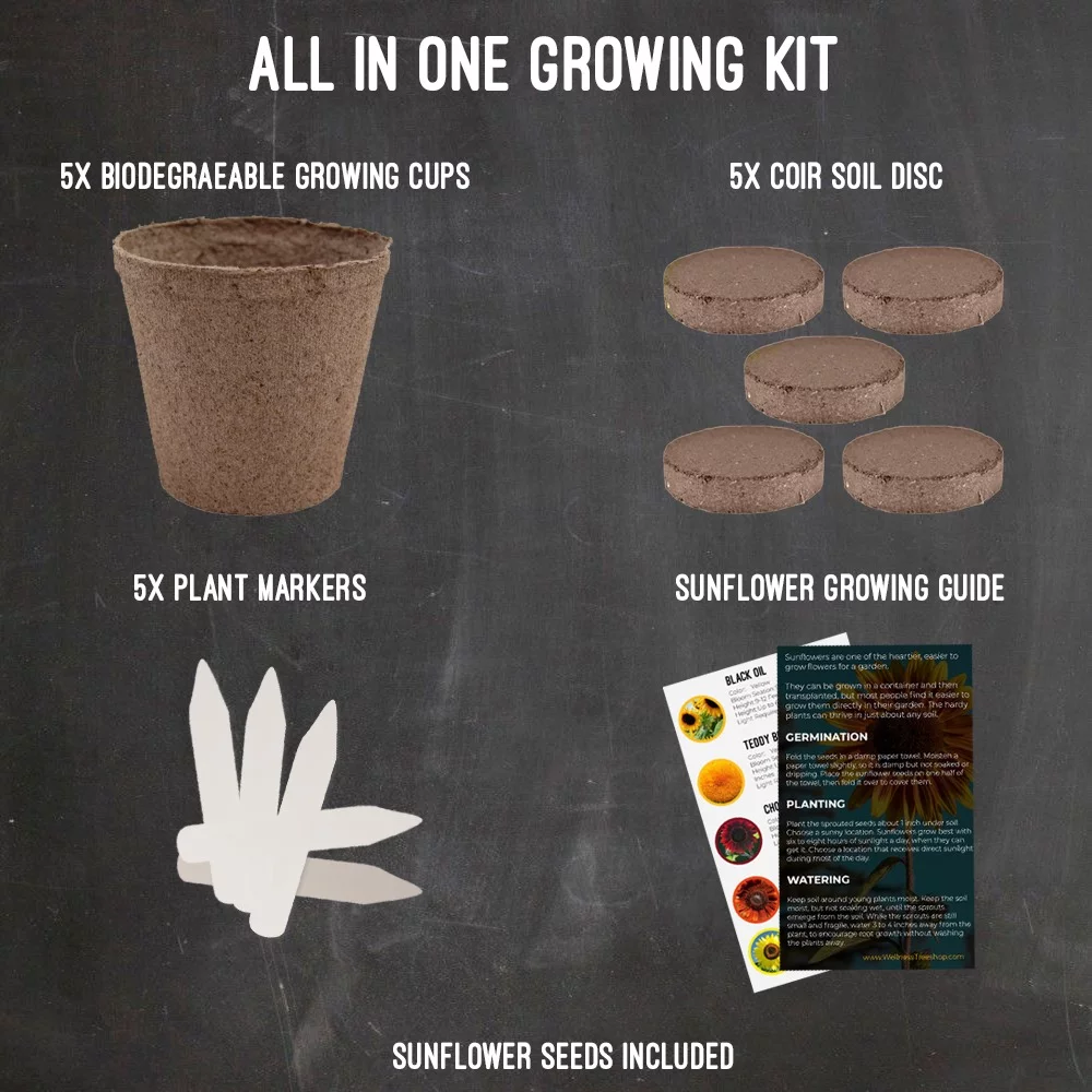 Sunflower Grow Kit - Grow 5 Different Sunflowers - A Complete Beginner Gardeners Gift Growing Set to Start Your Own Indoor Flower Garden