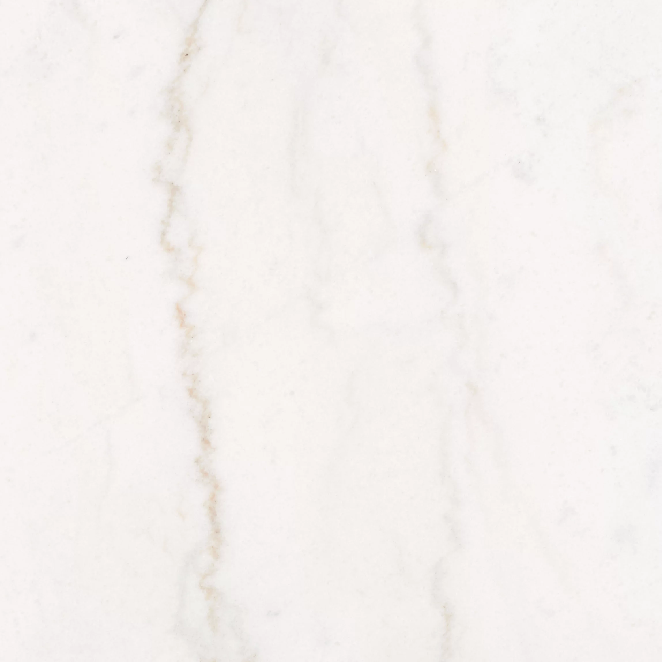 SAFAVIEH Maja Round Marble Coffee Table, Marble/Walnut