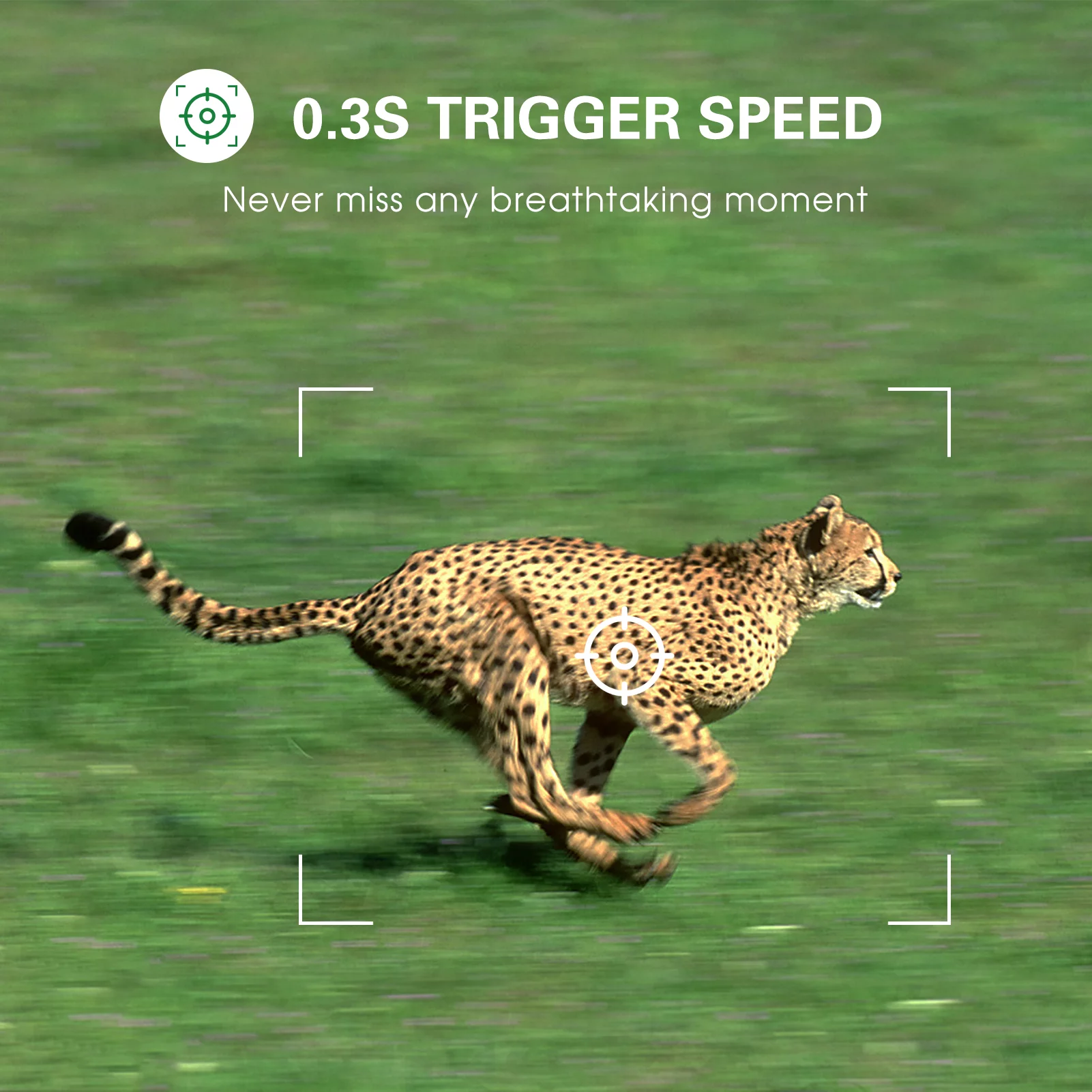 Andoer 36MP 4K Dual Lens Trail Camera with Motion Activation and Night Vision