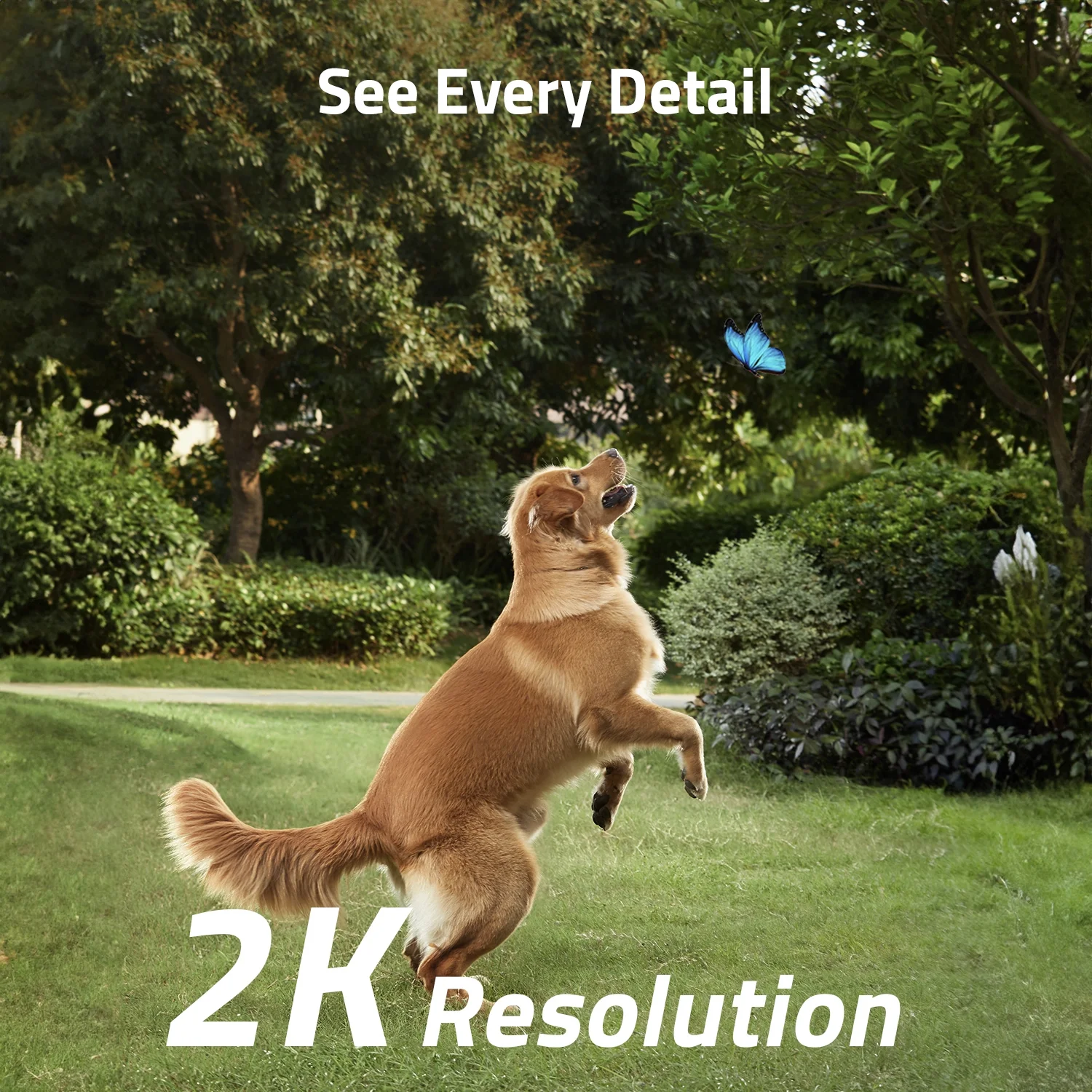 eufy Security SoloCam S230 Wireless 2K Solar Powered Camera w/Spotlight, No Monthly Fee