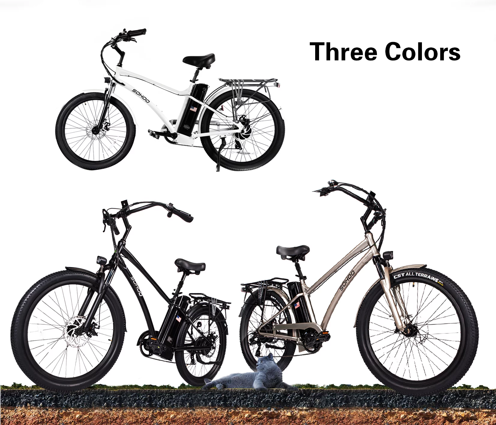 SOHOO 48V500W13Ah 26