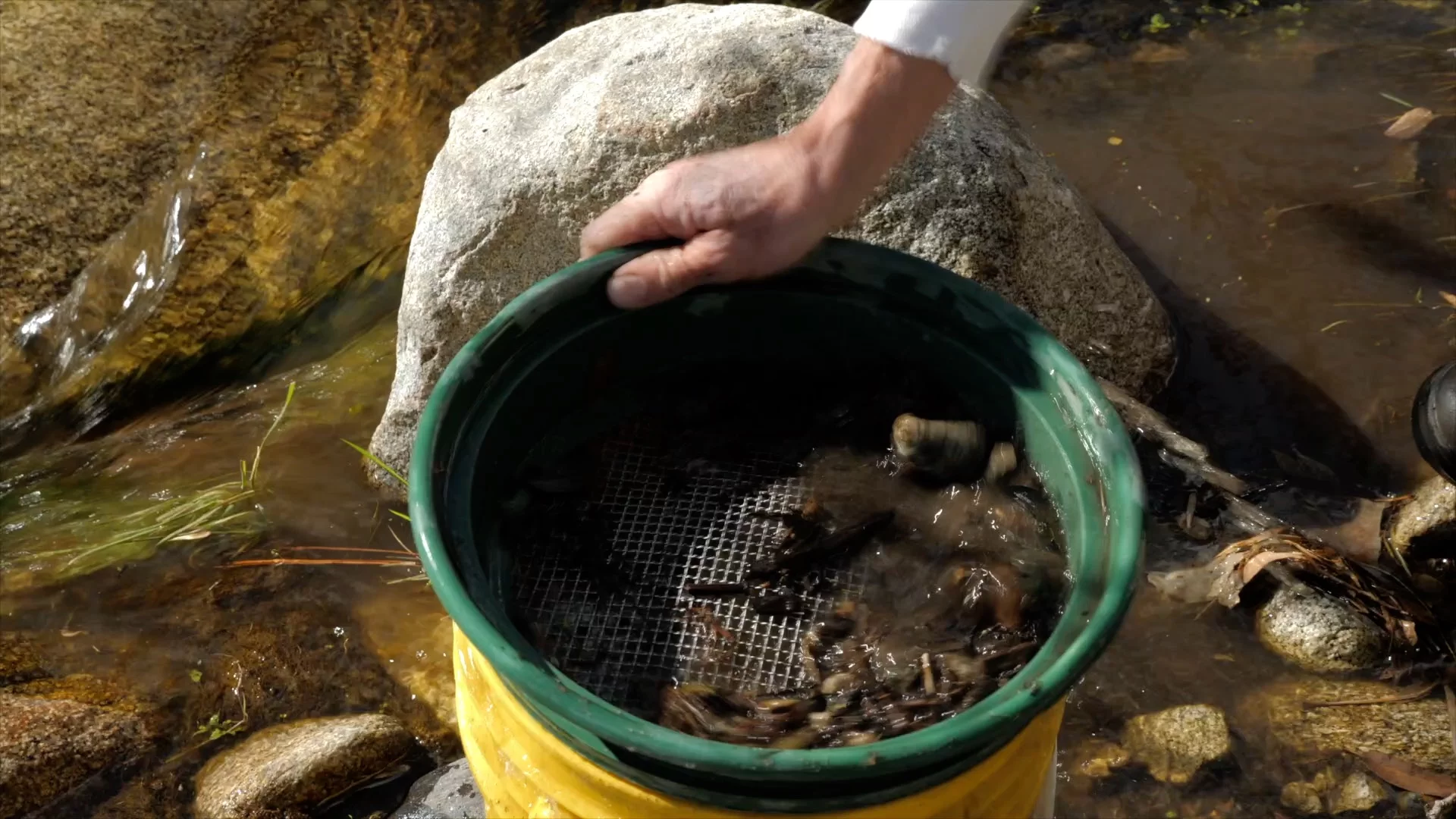 Sluice Fox Deluxe Gold Panning Kit | Classifiers| Pans | Tweezers | Vials