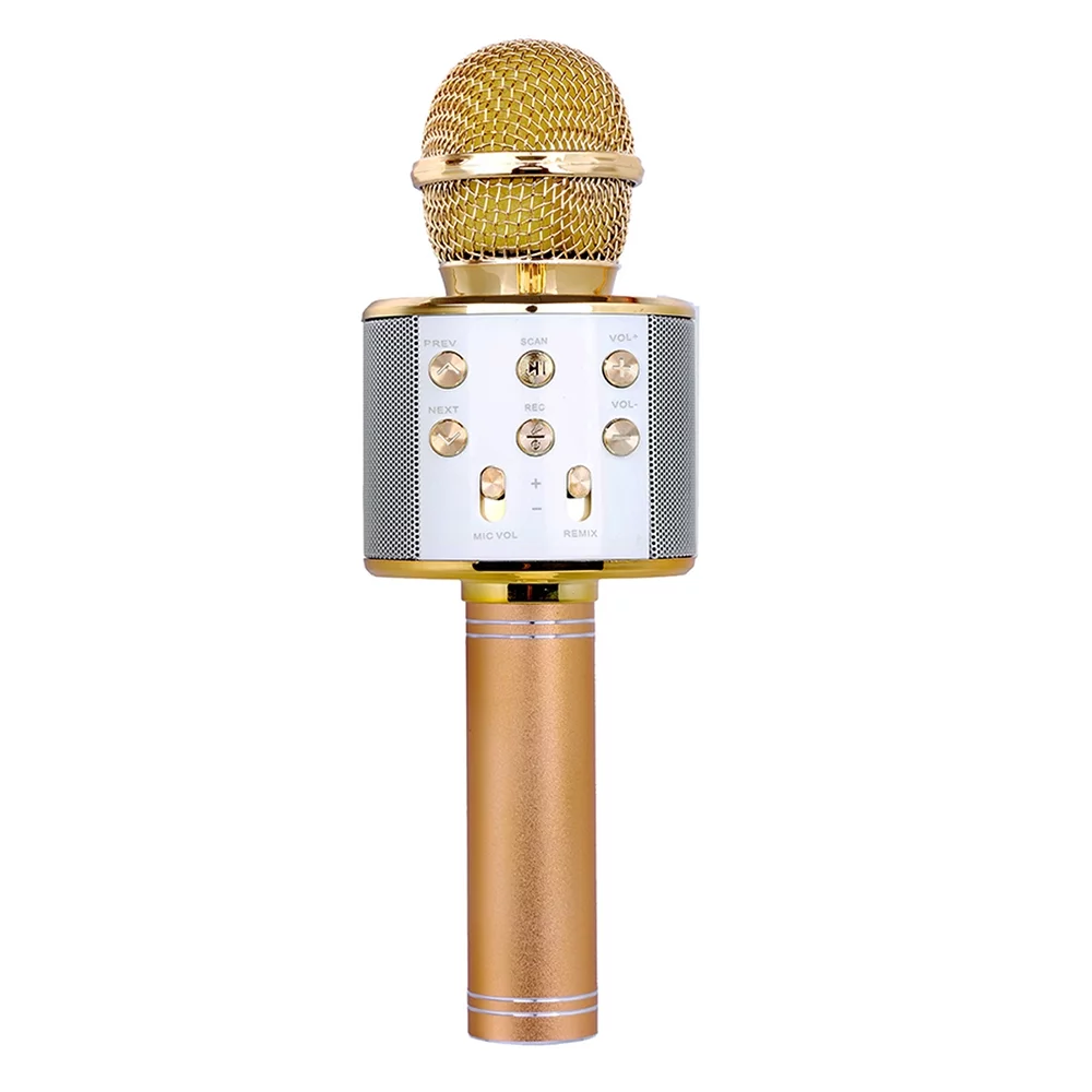 Wireless Bluetooth Karaoke Microphone, Portable Professional Handheld Karaoke Mic Speaker Machine KTV Music Player Singing Recorder for Kids Teens Party Birthday, Gold