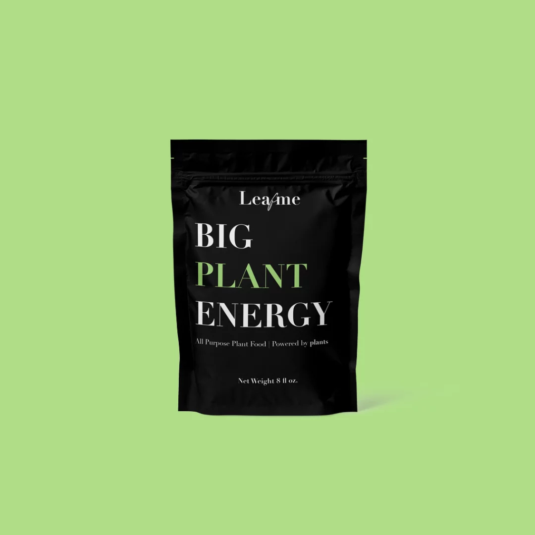 Big Plant Energy Plant Food