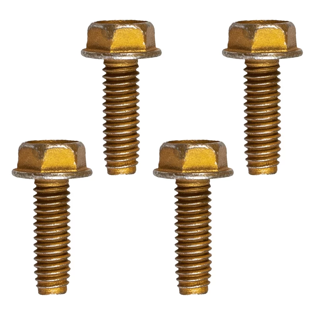 CUB CADET 710-0602 Screw 5/16 18 X 1.00  Z Force RZT GT GSE GS GSX 1554 XT3 Tank