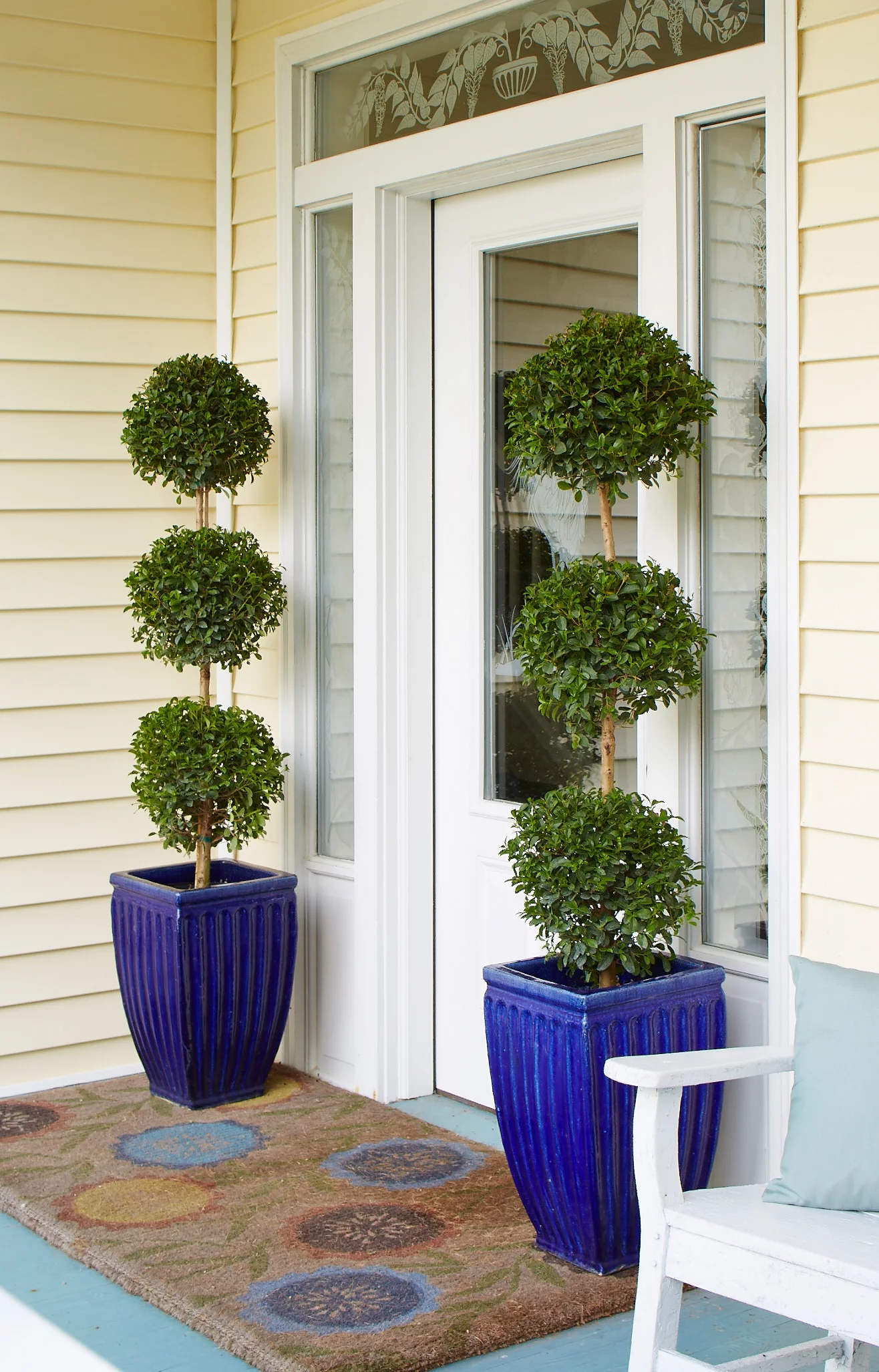 Expert Gardener Live Indoor 24in. Tall Green Eugenia Topiary 3-Ball Plant, Indirect Sunlight, in 10in. Grower Pot