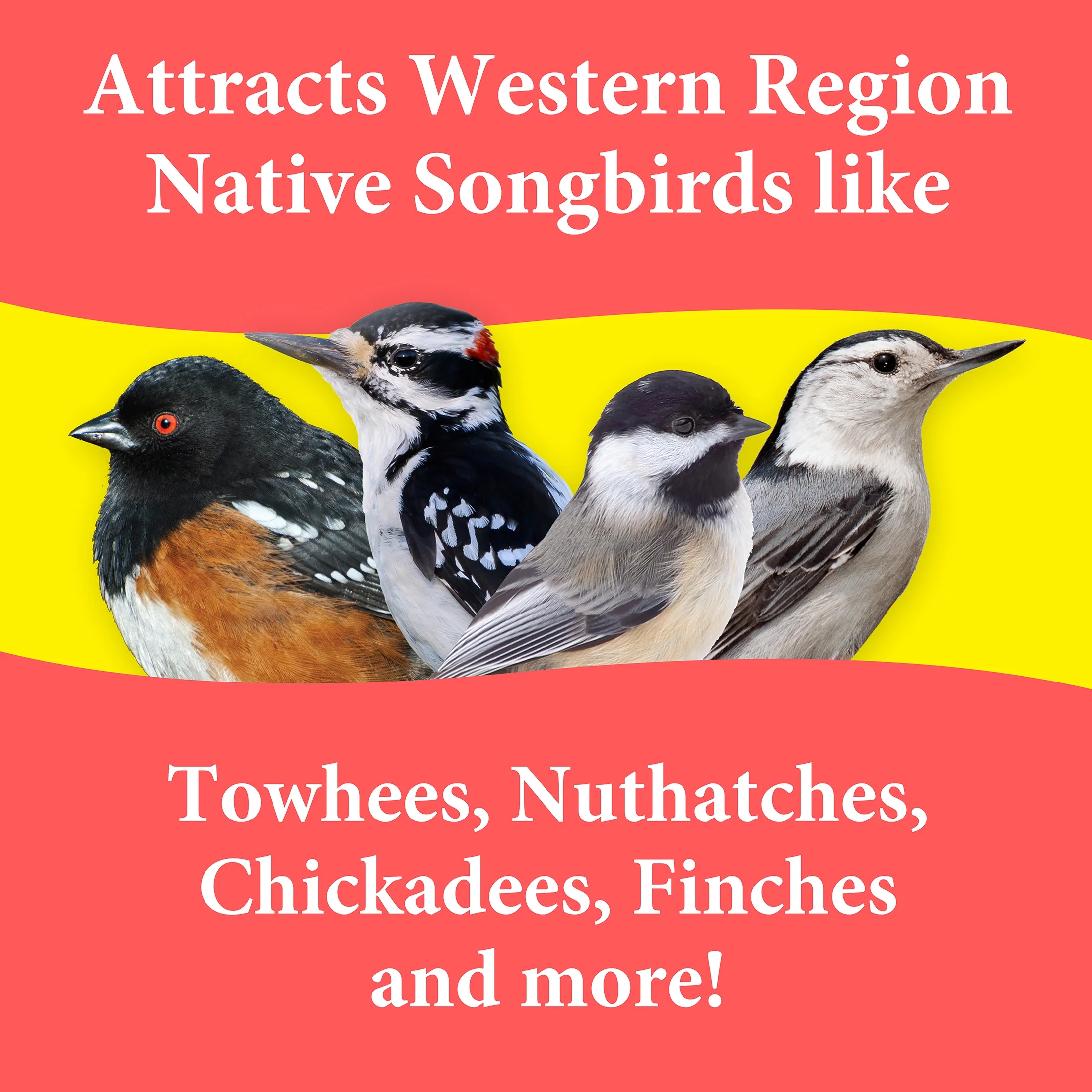 3-D Pet Products Premium Western Region Blend Dry Wild Bird Food, 5 lb., 1 Pack