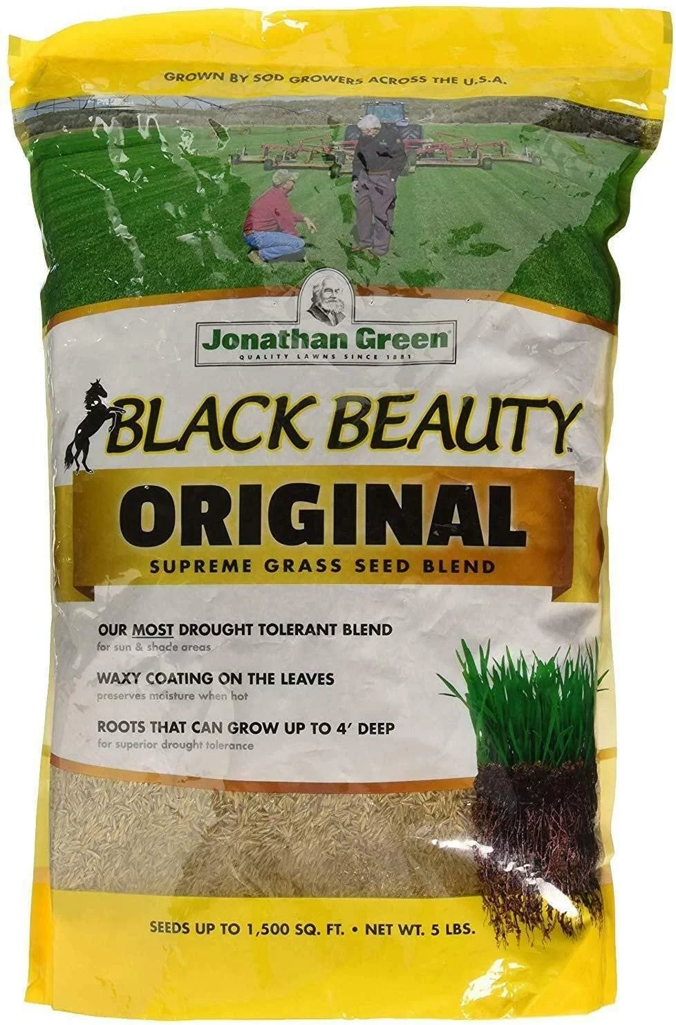 Jonathan Green 10318 Black Beauty Grass Seed Blend, Up to 1500 Sq.Ft, 5 Lbs