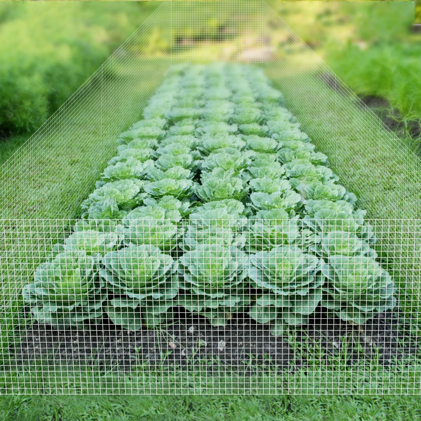 Miumaeov 36inx50ft Hardware Cloth 1/4 inch Galvanized Welded Wire Mesh Chicken Wire Fence Mesh Roll