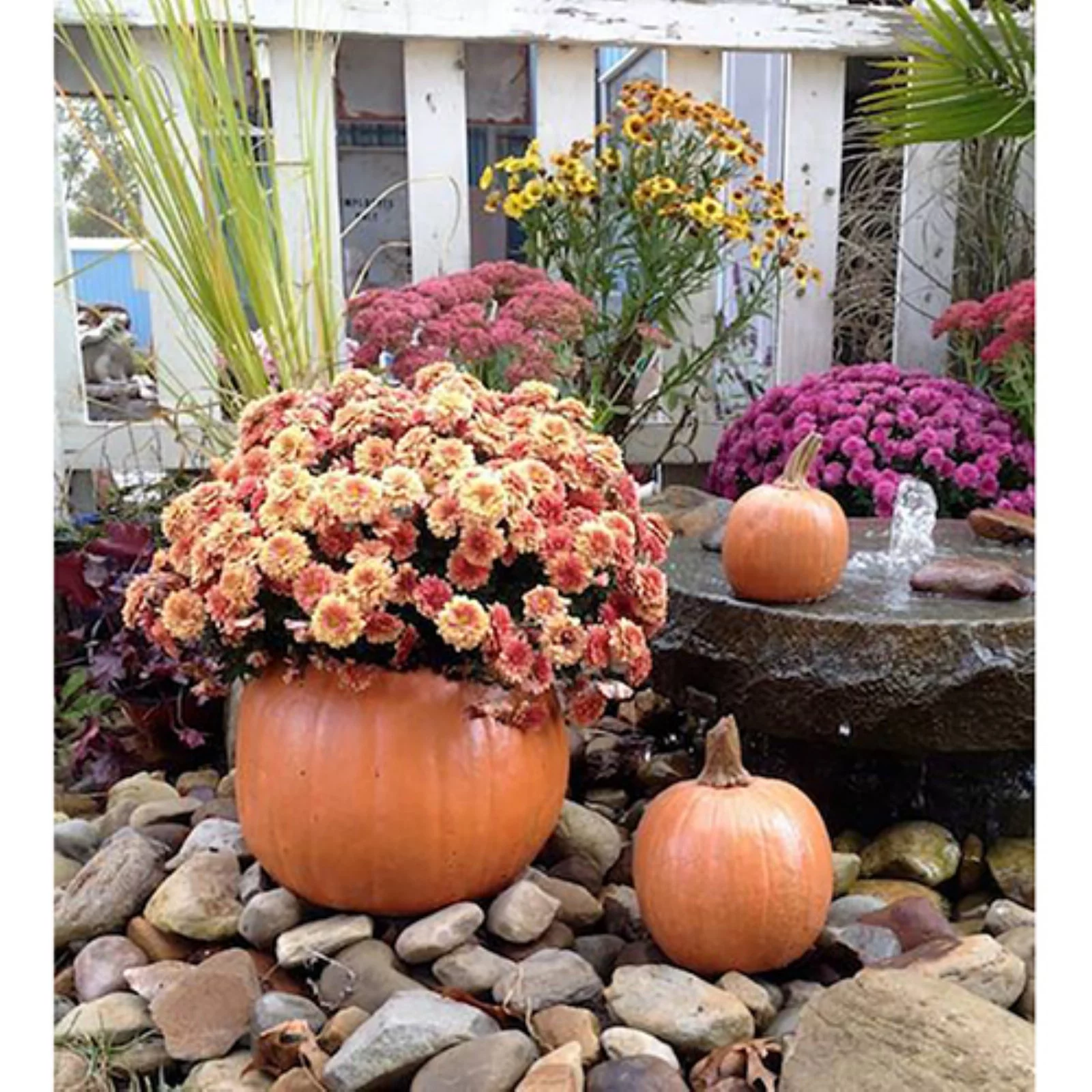 Athena Garden Pumpkin Planter - Set of 3