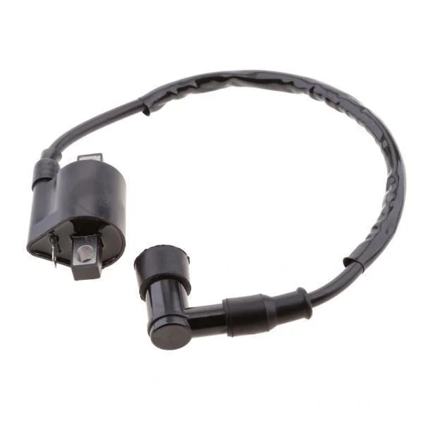 jiaping 2xIgnition Coil for 200 200 Moto-4 ATV 1985-1989