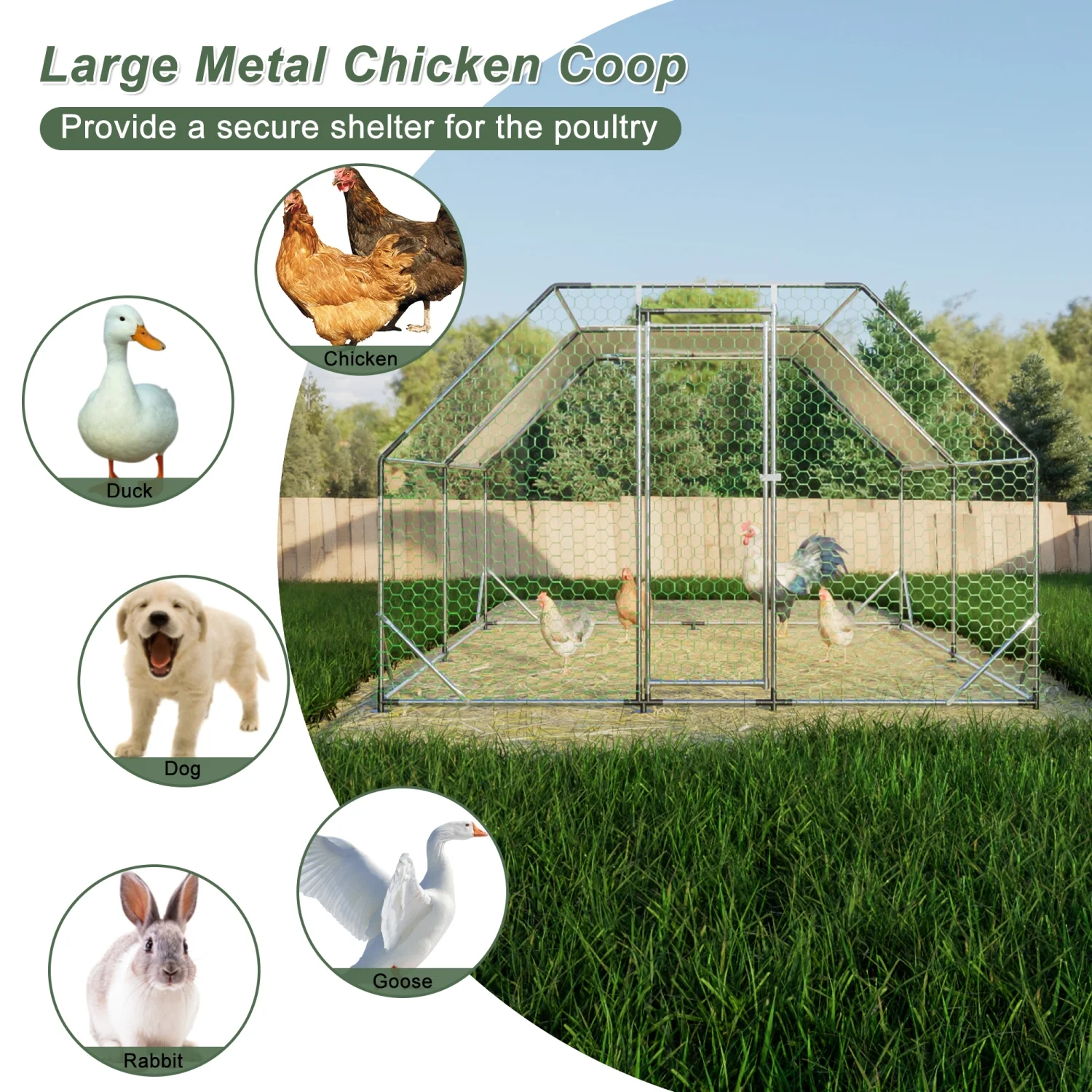 JHOOTUUO 10 ft. x 20 ft. Galvanized Large Metal Walk in  Coop Cage Farm Poultry Run Hutch Hen House
