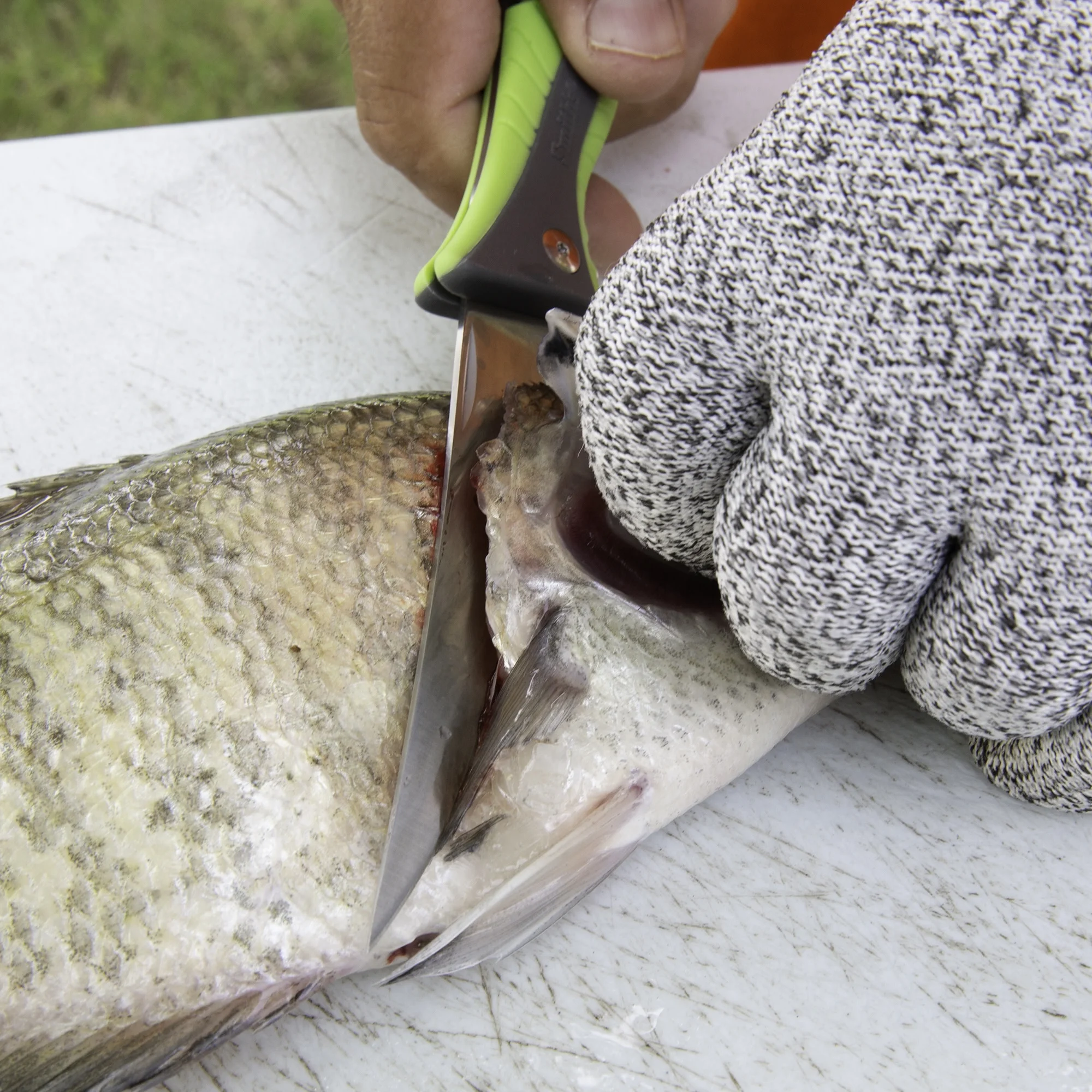 SMITH'S REGALRIVER 51383 4 IN FOLDING FLEX FILLET KNIFE GREEN