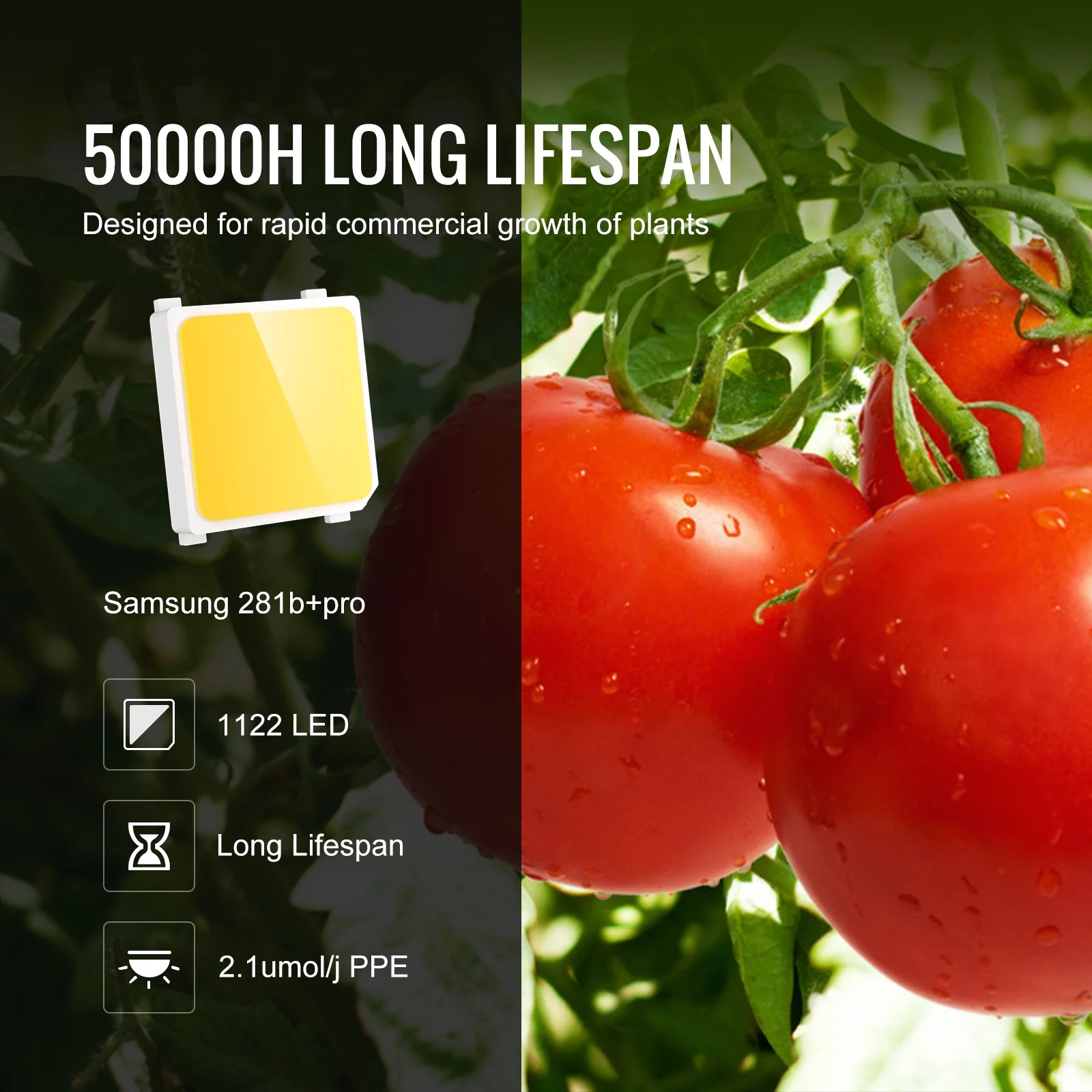 SKYSHALO LED Grow Light Greenhouse Growing Light 400W Full Spectrum Indoor Plants