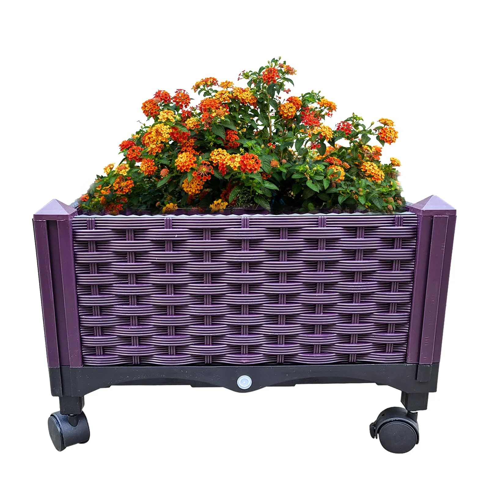 Mobile Rolling Raised Garden Bed with Self-Watering Device - Effortlessly Grow Your Favorite Plants