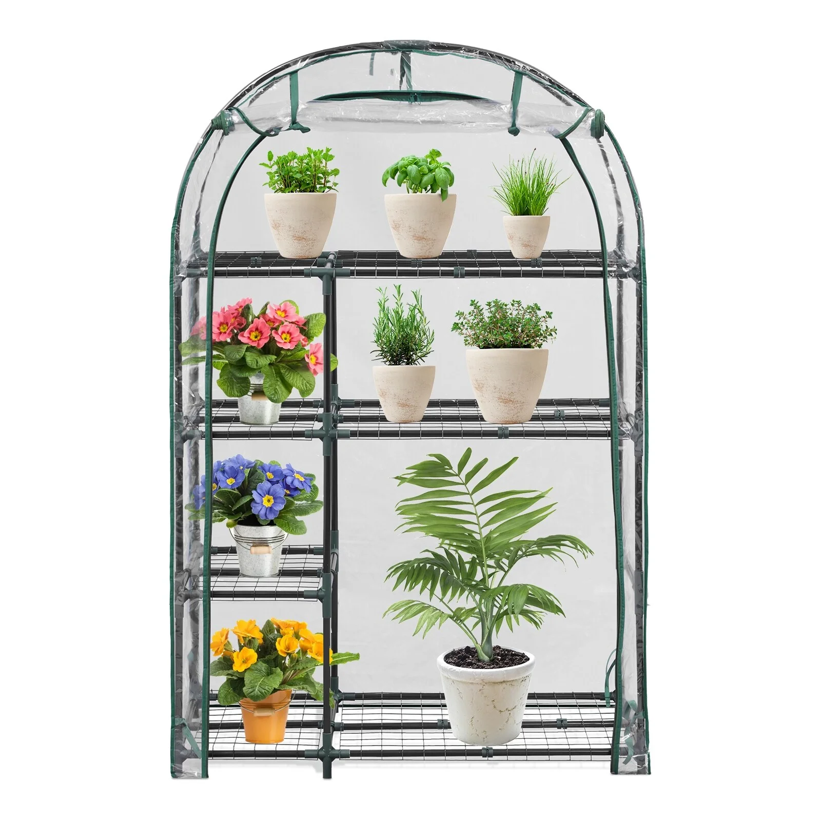 Cozywor 39 in. W x 18 in. D x 62 in. H 4-Tier Mini Greenhouse Portable