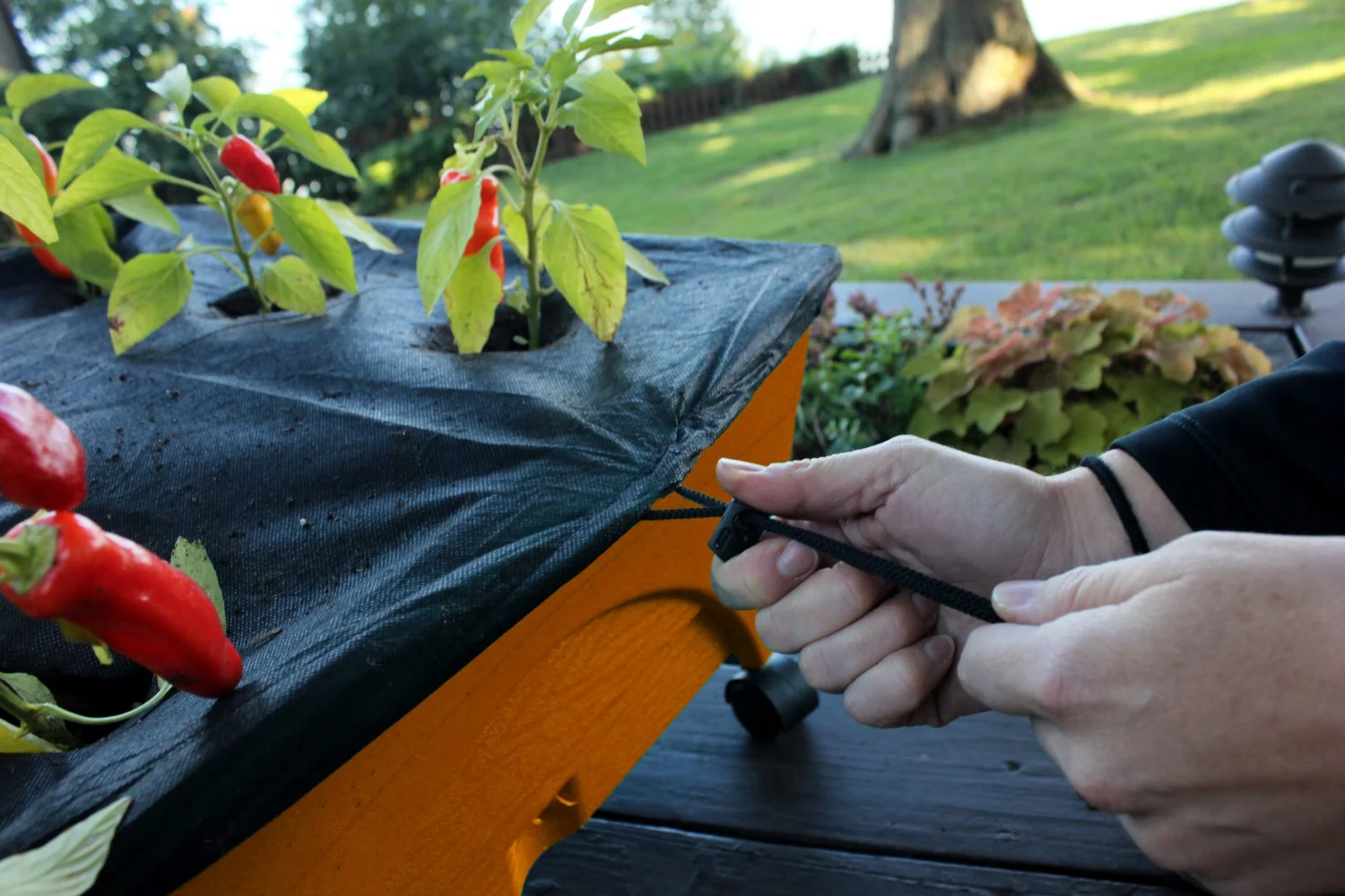 EMSCO Group- City Picker Raised Bed Grow Box – Self Watering and Improved Aeration – Mobile Unit with Casters - Cobalt Blue