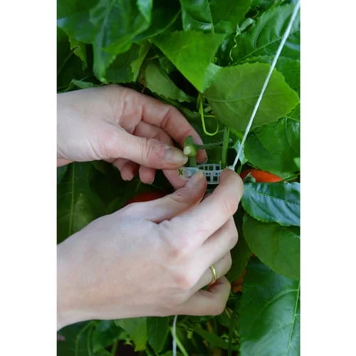 Palram - Canopia Greenhouse Trellising Kit