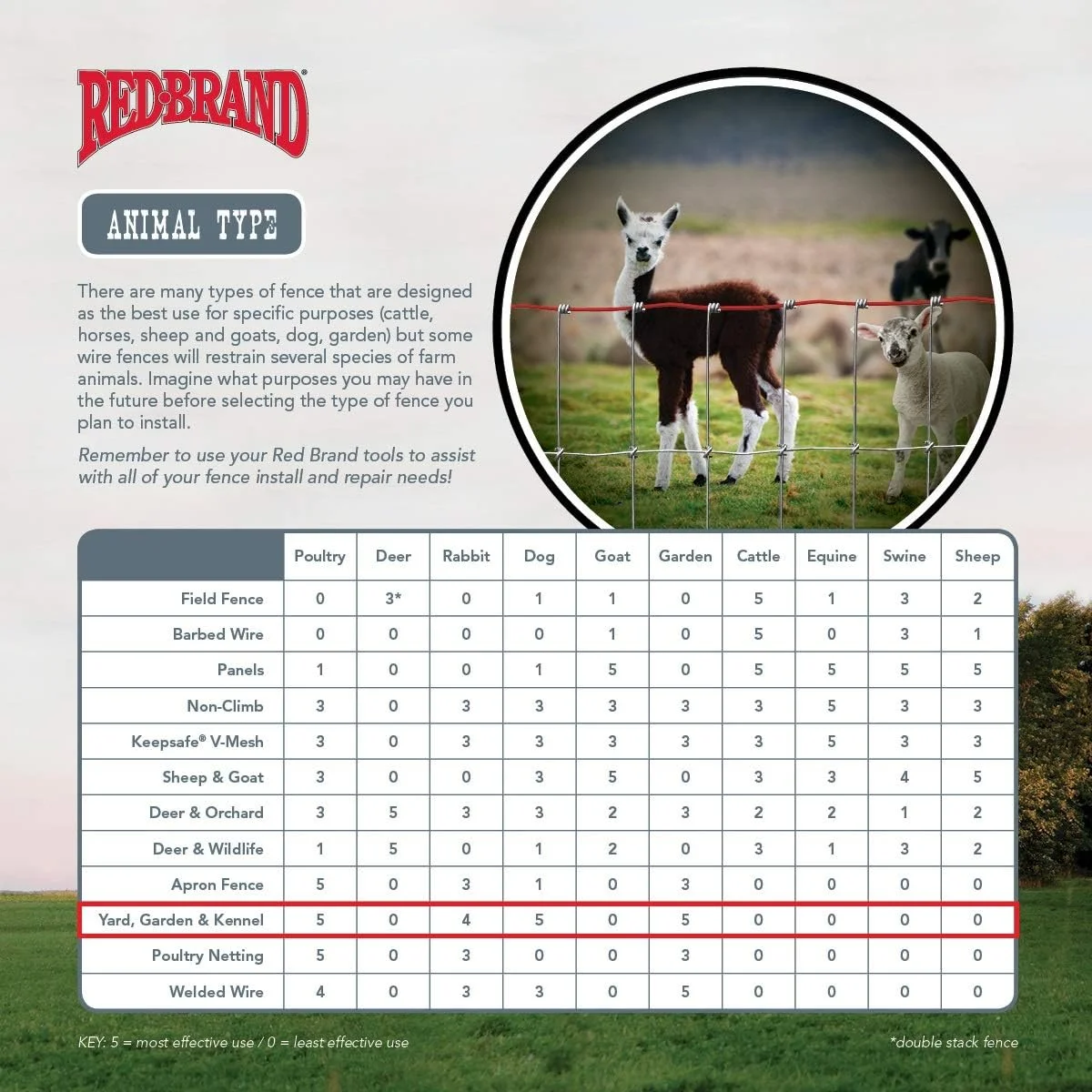 Keystone Steel & Wire 183227 48 in. x 100 ft. & 2 x 2 ft. Kennal Fence