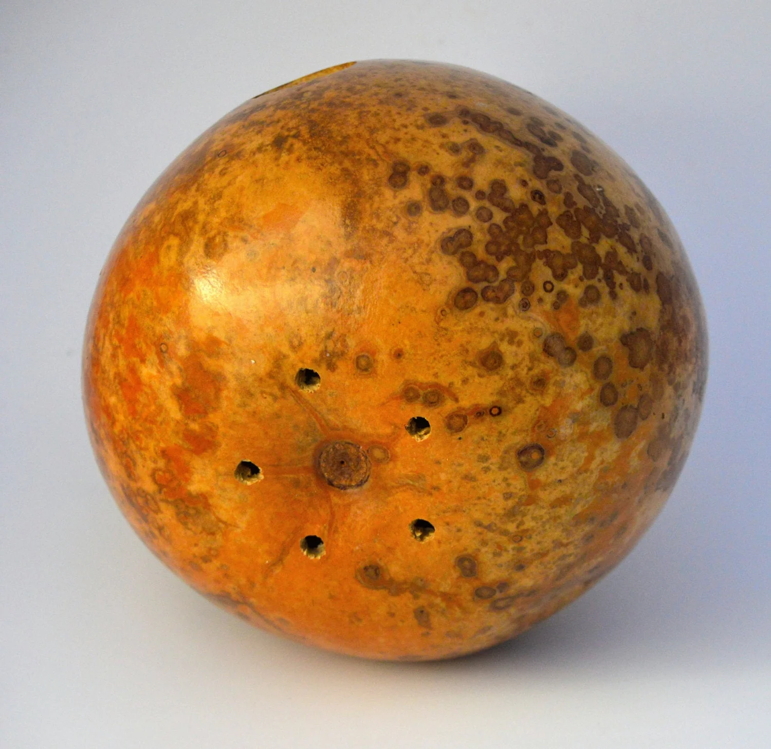 Gourd Birdhouse - Natural Finish - Perfect for a Bird's Nest!