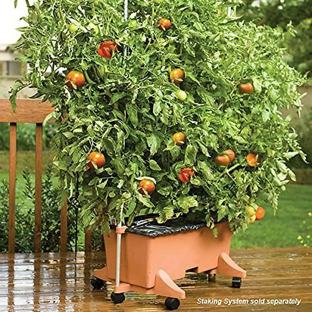 garden kit,terracotta (pack of 2, standard)