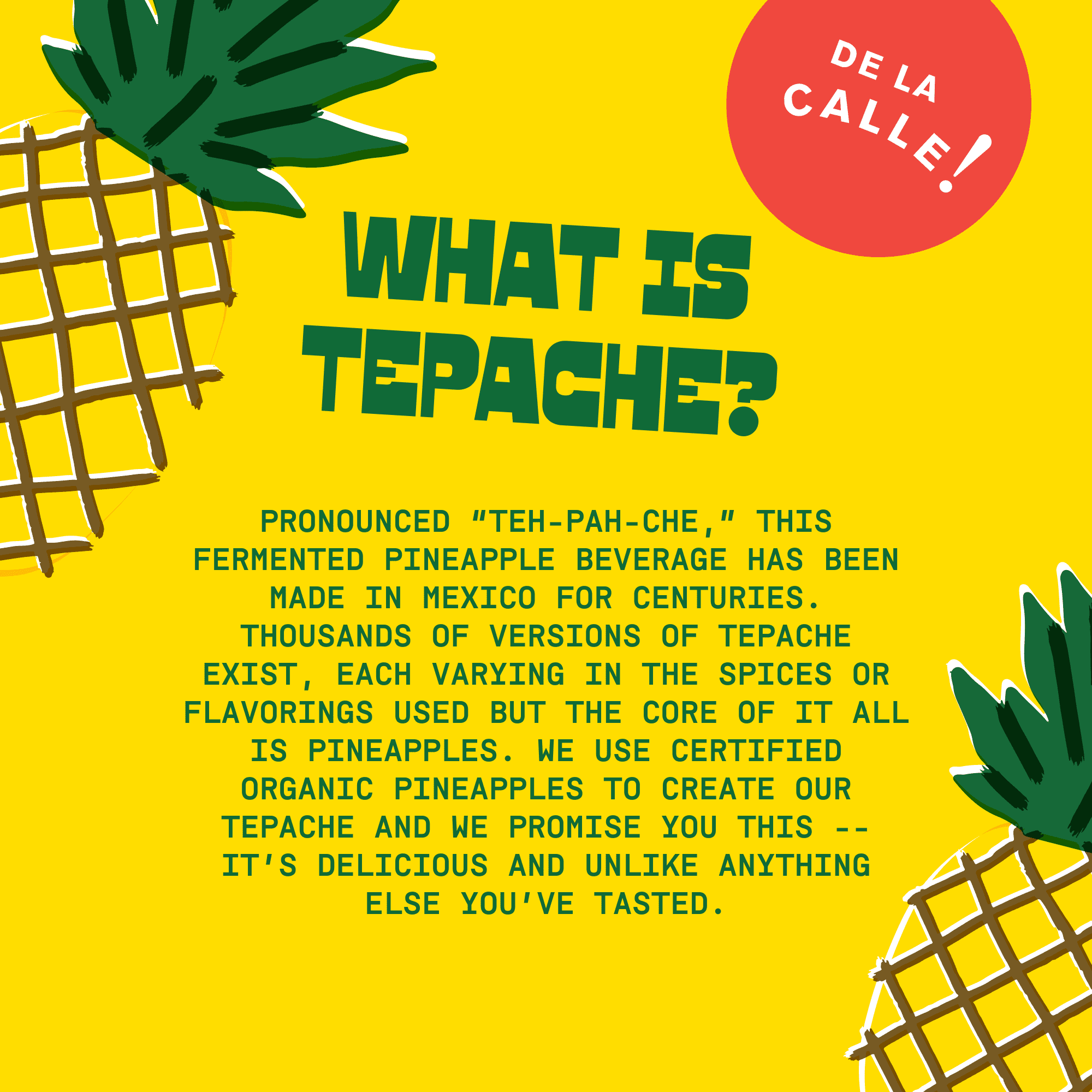 De La Calle Tepache, Grapefruit Lime, Modern Mexican Soda, 6 Pack