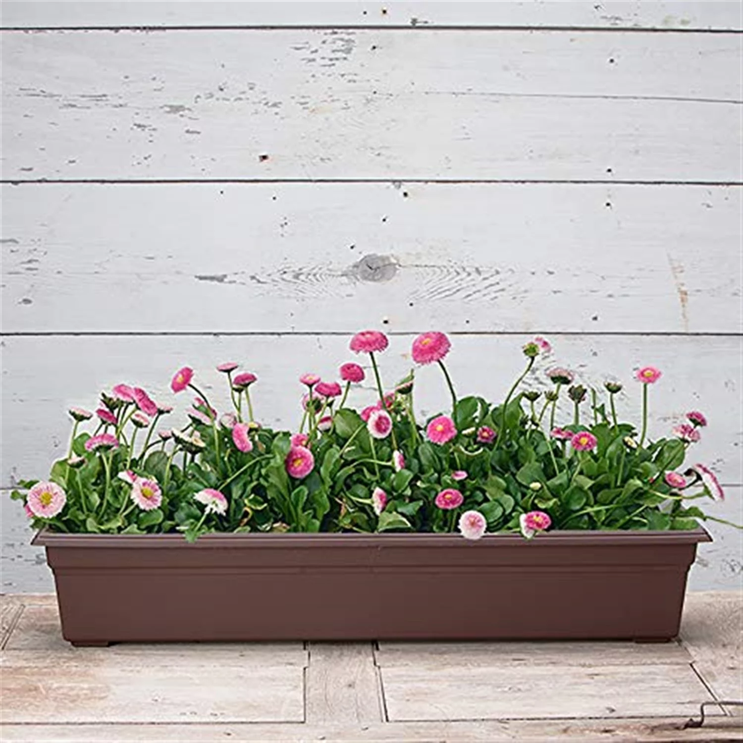 Novelty Countryside Flower Box, Brown, 36 Inch