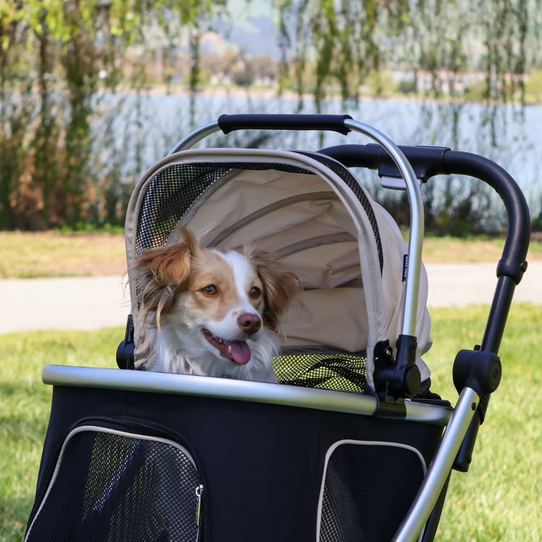 Foldable Pet Stroller with Detachable Carrier and Storage Basket for Dogs and Cats