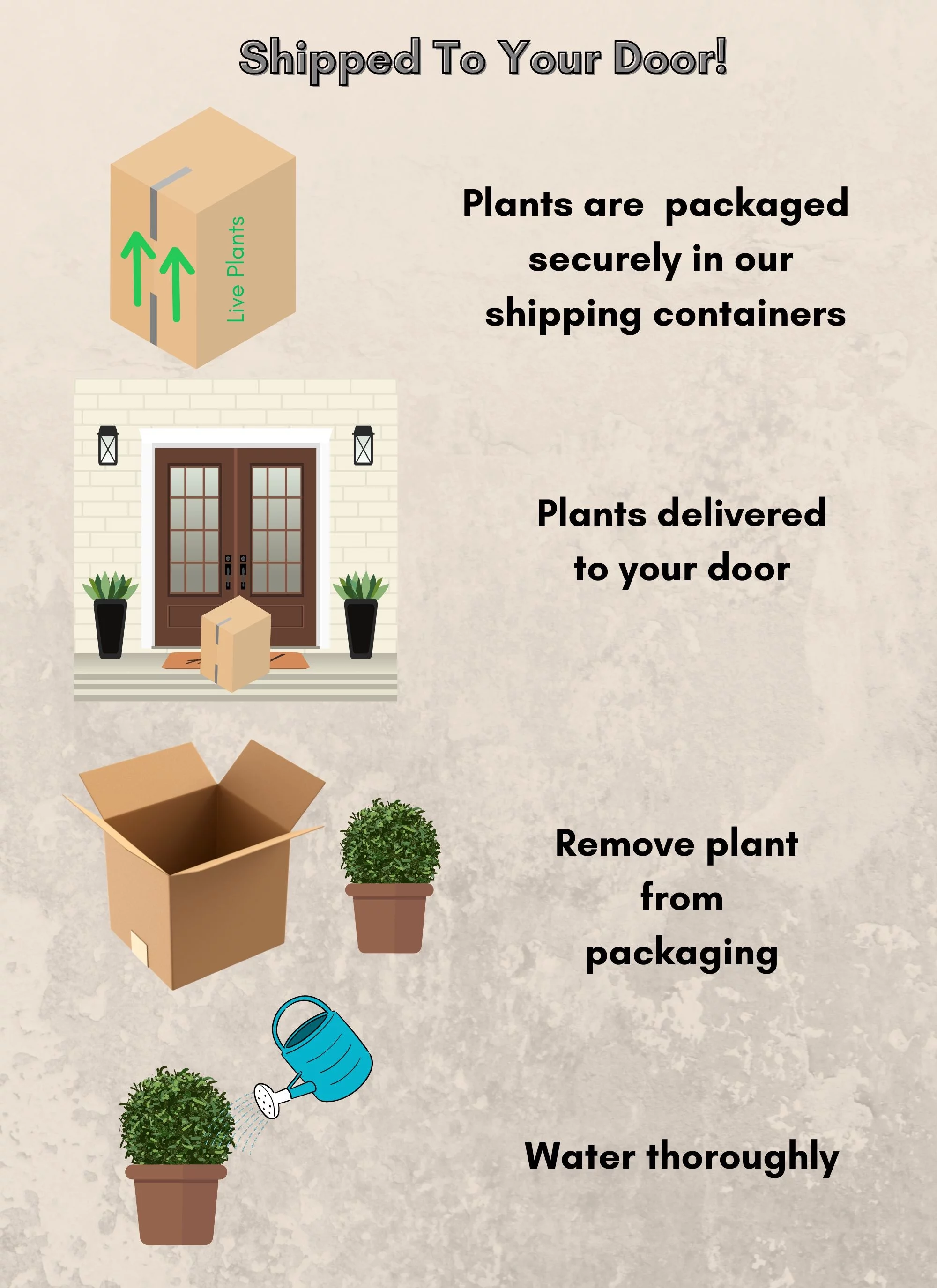 Encore Azalea Autumn Rouge Live Shrubs