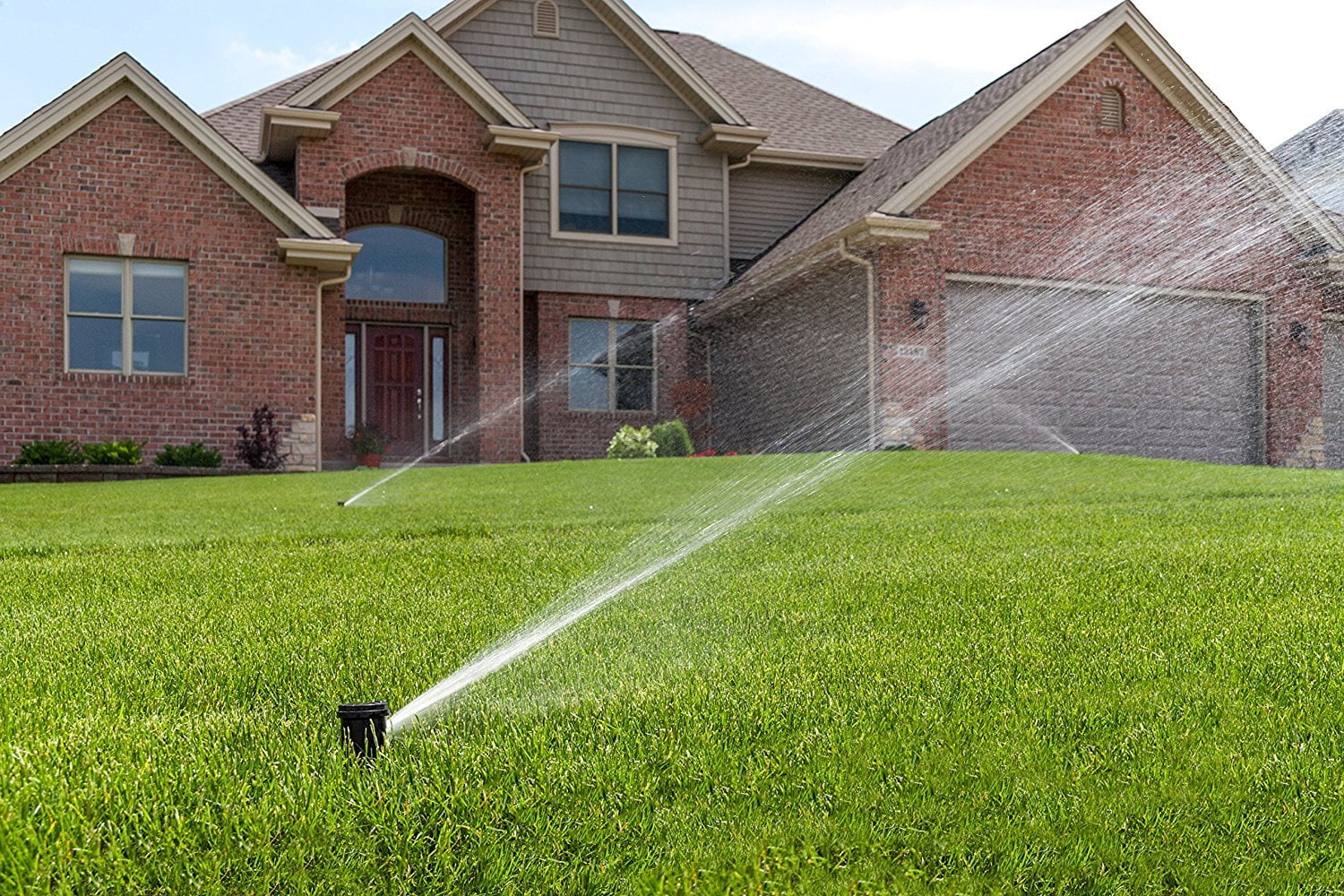 Rain Bird Pop-Up Rotor Sprinkler Head,Plastic 42SA+