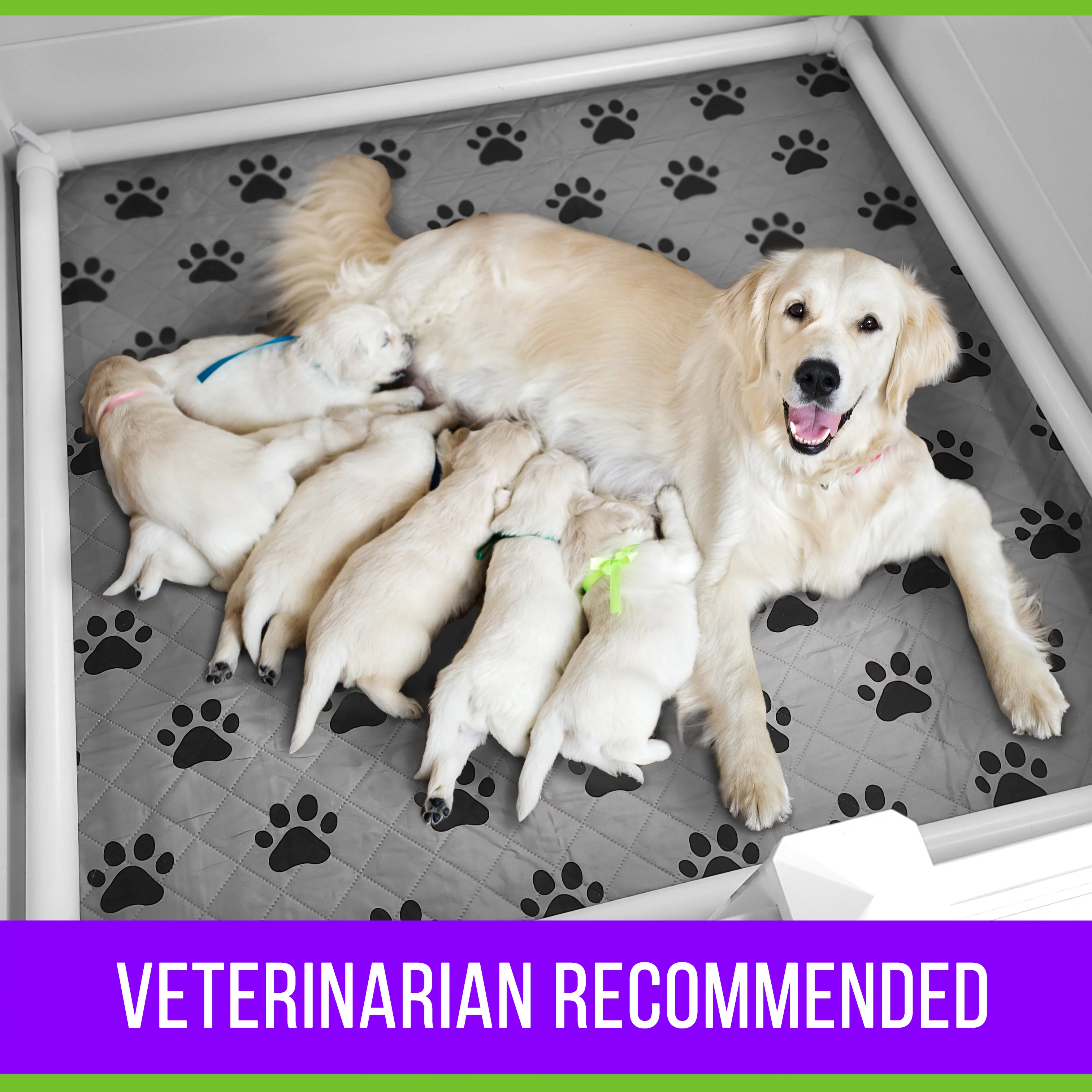Whelping Box For Dogs With Washable Whelping Pad, Large 45 x 45 Plastic Dog Crate Puppy Birthing Supplies