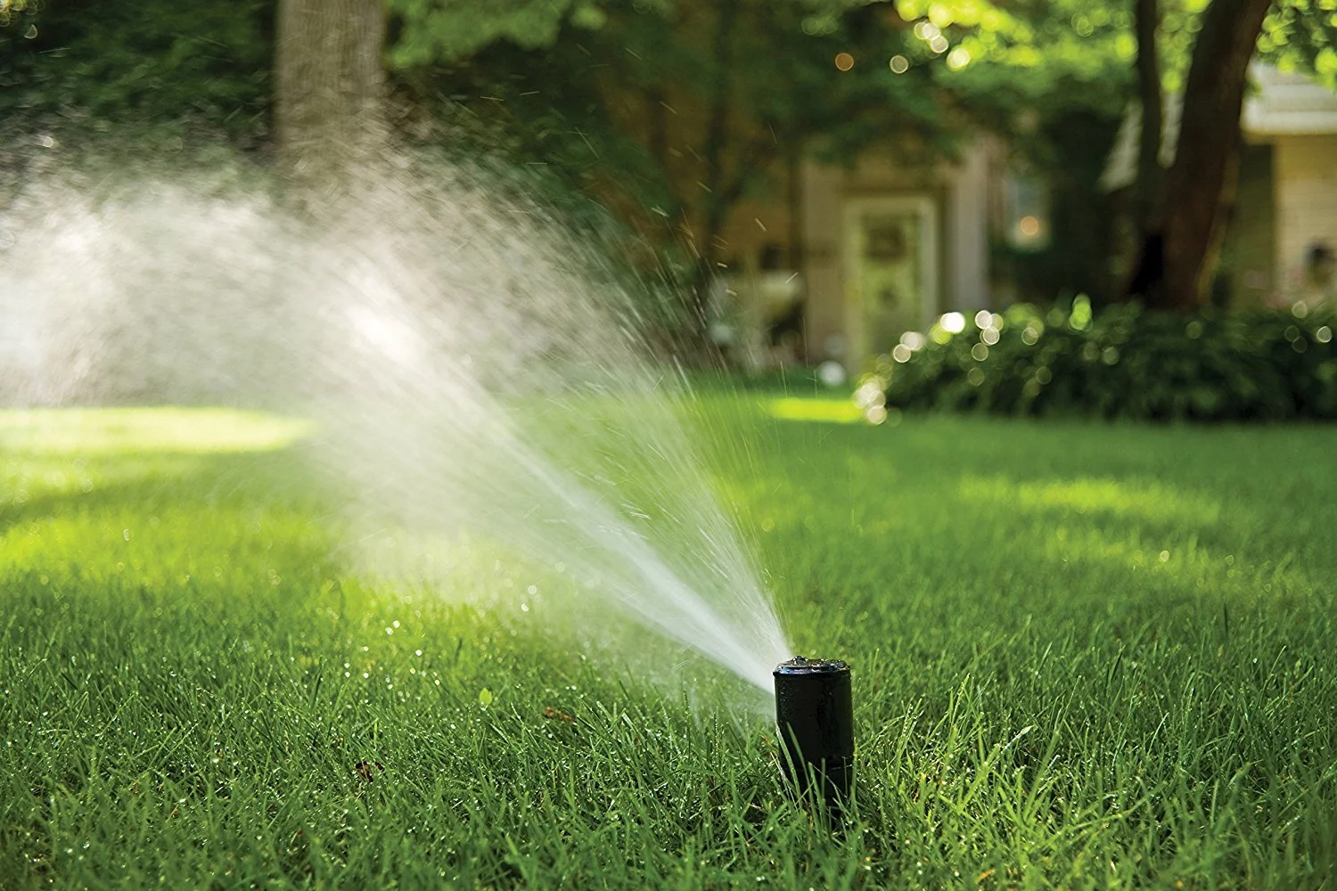 Rain Bird Pop-Up Rotor Sprinkler Head,Plastic 42SA+