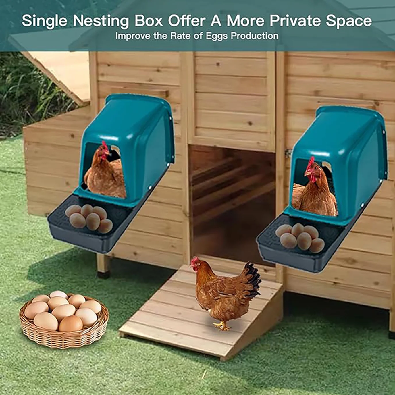8 Pack Chicken Nesting Boxes Chicken Laying Boxes with Perch Roll Out Nesting Boxes Heavy Duty Nesting Box for Chicken Coop Roll Away Nest Box Large