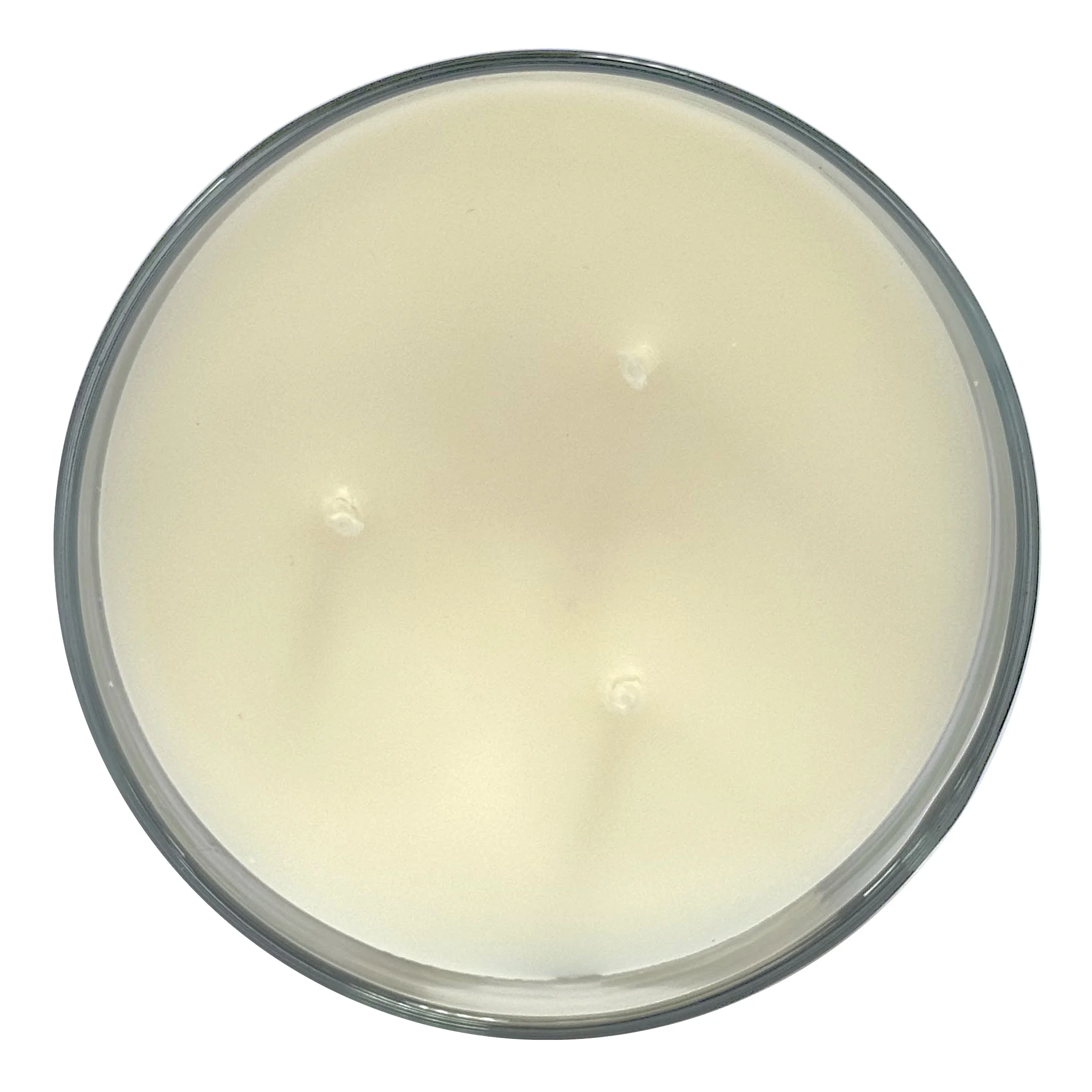 Goose Creek, Blueberry Cheesecake Scented 3 Wick Jar Candle, 14.5oz, Sweet