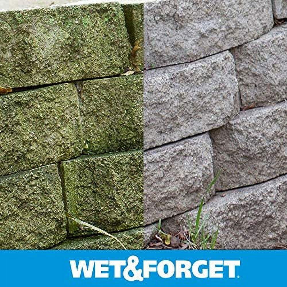 Wet & Forget 800006 Moss, Mold, Mildew & Algae Stain Remover, 1 Gal (Pack of 2)