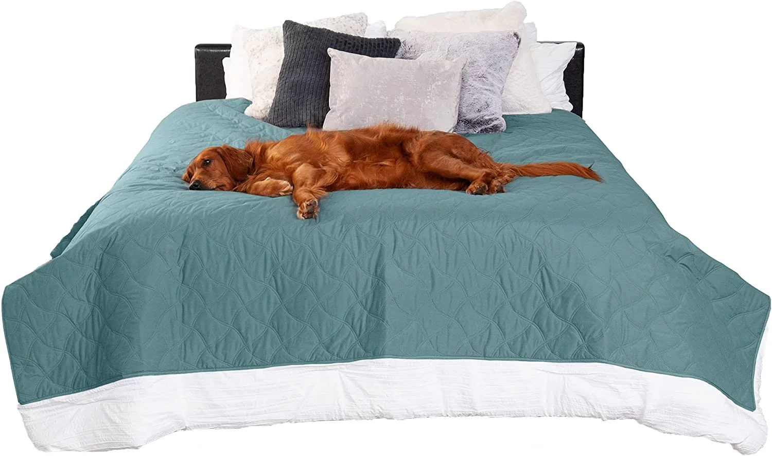 FurHaven Pet Products Quilted Twill Waterproof Bed/Furniture Protector - Nile Blue, Jumbo/King