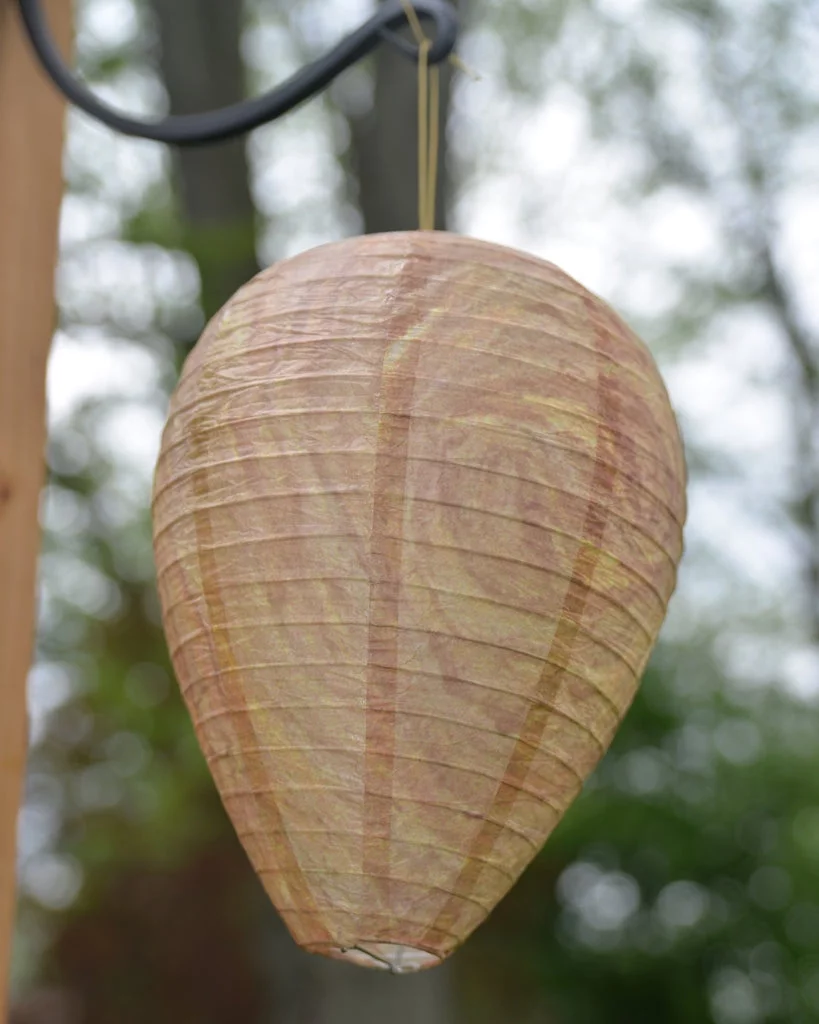 Best Bee Brothers Glass Wasp Trap and Wasp Deterrent Hive (2 Hives) for Wasps and Yellowjackets